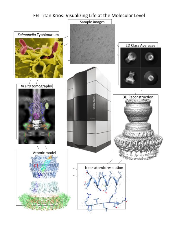 Get Started | High Resolution Macromolecular Cryo-Electron Microscopy