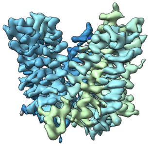 Bacterial permease, AmpG, structure discovered by Sverak et al. (2024)